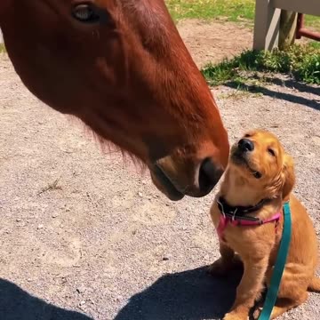 Unlikely friendship but so pure ✨