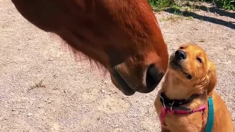 Unlikely friendship but so pure ✨