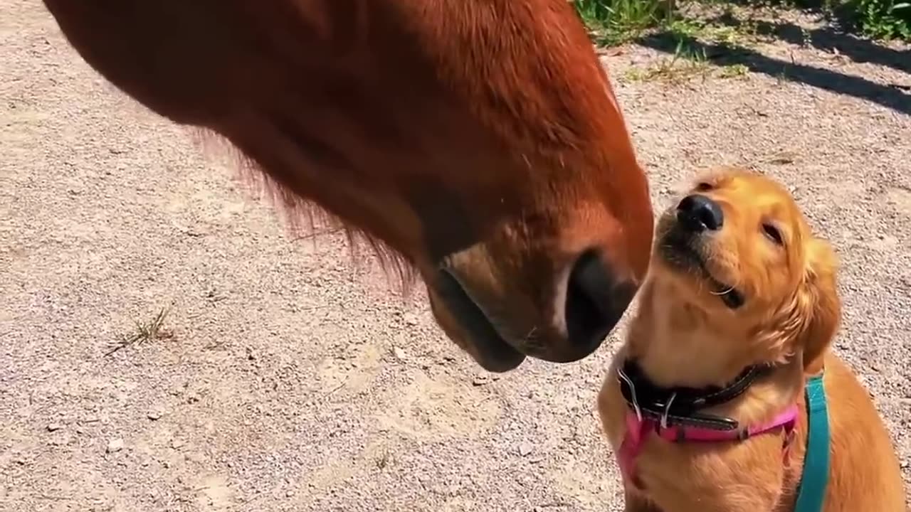 Unlikely friendship but so pure ✨