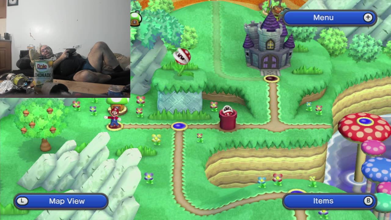 THE New Super Mario Bros U (THE Wii U)