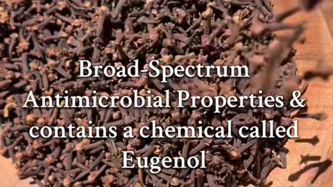 Clove Herbs Benefits