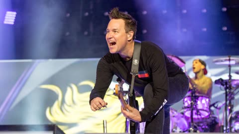 What Does Blink 182 'All The Small Things' Mean?