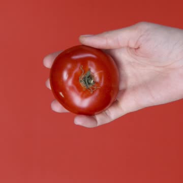 The Tomato in Hand