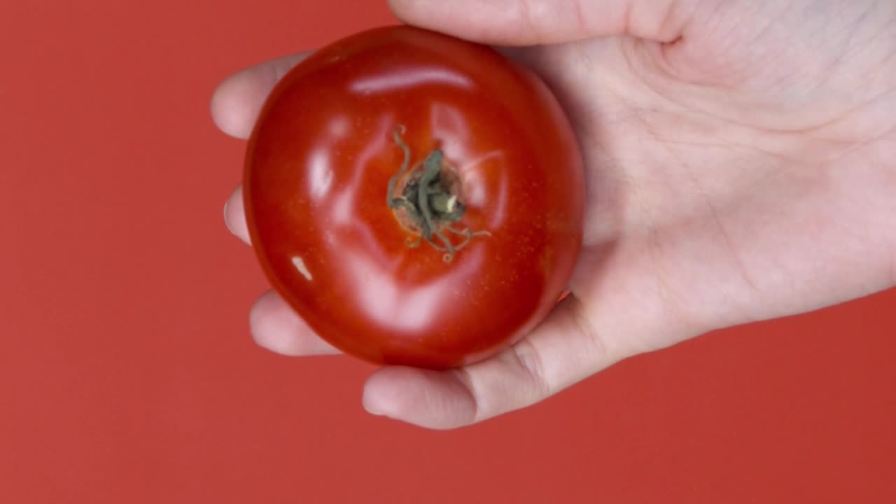 The Tomato in Hand