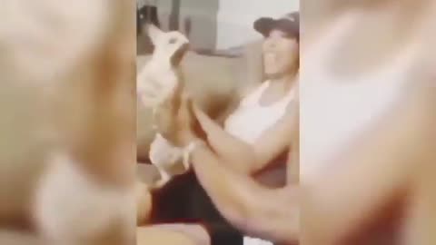 Funniest Cat & Dog Moments Compilation 🐾 Try Not to Laugh at These Animal Video Clips!