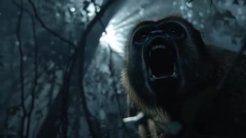 The tribesmen living in the Amazon have superpowers