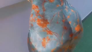 Amber mina93