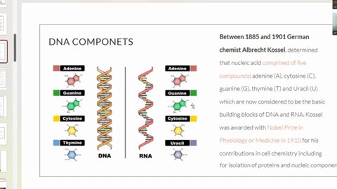 DNA Does NOT Exist? with Dr. Jerneja Tomsic [Part 1]