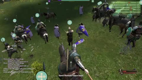 mount and blade one life playthrough attempt
