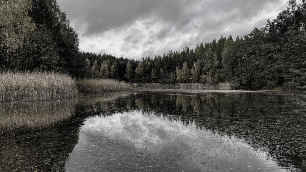 Birkensee / Music Black Stone Cherry
