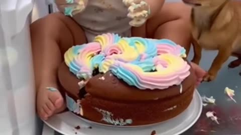 Cute Baby Playing With Animals | Adorable Baby & Pets Moments | Funny Animal Reactions”