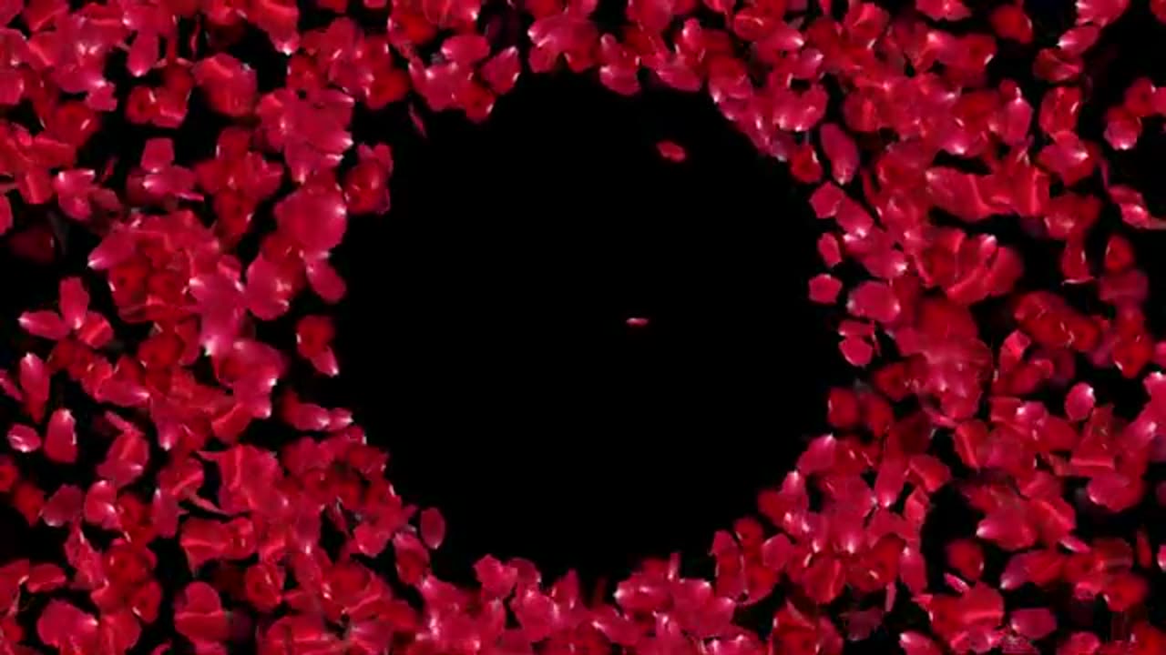 How To Grow Roses From Stem Cuttings