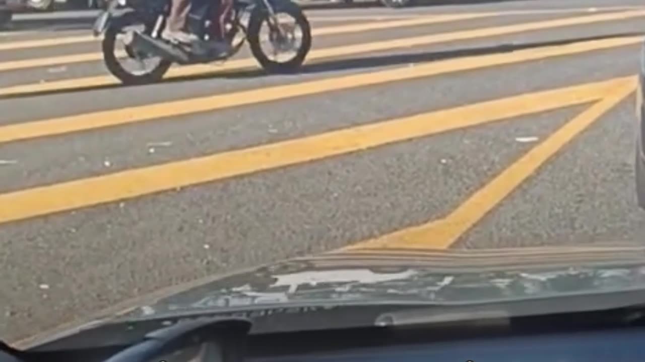 Un toro enfurecido se lanza contra los vehículos