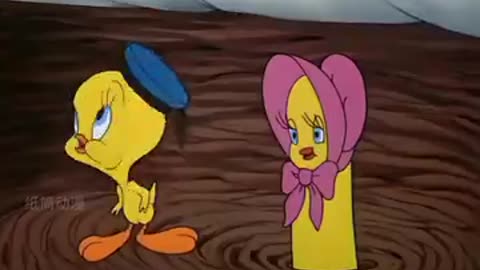 Tom and jarry funny vidieo