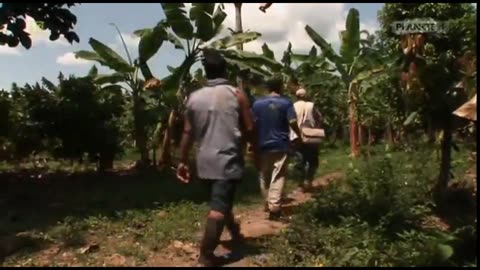 KAPITALIZM I FILANTROPIA dokument pl