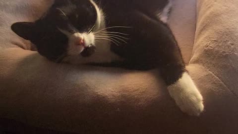 Storm napping