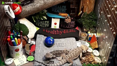 🔴 2025🔴03-20🍁 Live Stream Day 18🔴 🍏Healthy4Life🐉 Mascots 🍎🐲 Meet Kobe & Health🐉 Day In The Life Of Bearded Dragons🐲Day18🐉⭕Live🦎Streaming🔴