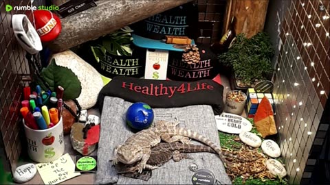 🔴 2025🔴03-20🍁 Live Stream Day 18🔴 🍏Healthy4Life🐉 Mascots 🍎🐲 Meet Kobe & Health🐉 Day In The Life Of Bearded Dragons🐲Day18🐉⭕Live🦎Streaming🔴