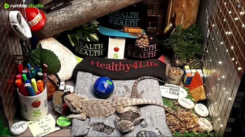 🔴 2025🔴03-20🍁 Live Stream Day 18🔴 🍏Healthy4Life🐉 Mascots 🍎🐲 Meet Kobe & Health🐉 Day In The Life Of Bearded Dragons🐲Day18🐉⭕Live🦎Streaming🔴