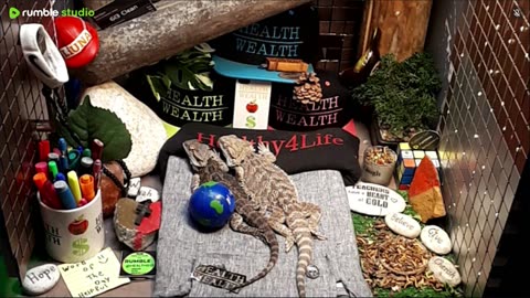 🔴 2025🔴03-20🍁 Live Stream Day 18🔴 🍏Healthy4Life🐉 Mascots 🍎🐲 Meet Kobe & Health🐉 Day In The Life Of Bearded Dragons🐲Day18🐉⭕Live🦎Streaming🔴