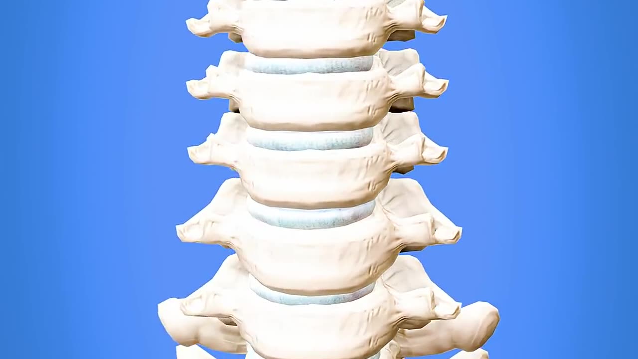How To Spin Your Head Like An Owl 😳