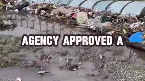 Wall Street Apes - There are 22 billion gallons of raw sewage flowing into San Diego, ...