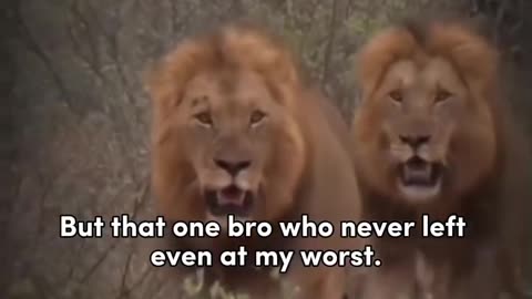 TAG YOU BRO. EVERYONE LEFT ME AT MY WORST...