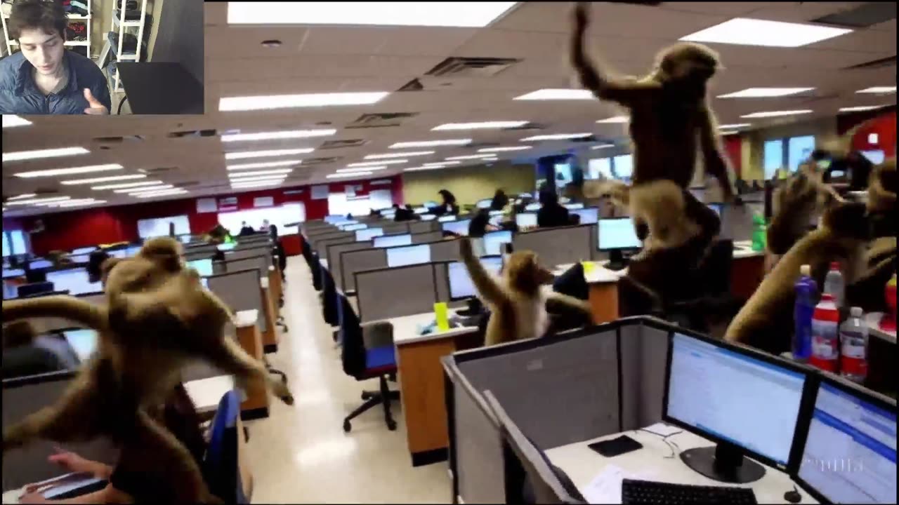 Outtake #1,055 Of Over 8 Monkeys Roam Around A Call Center Fake Funny Parody Video