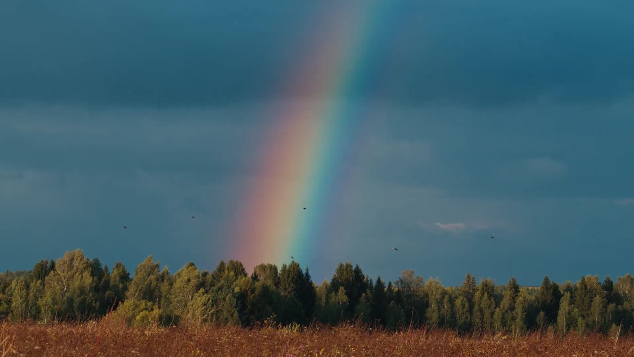 The 10 Commandments Yahweh's Loving Guidence