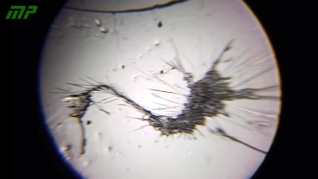 Vacuna contra el sarampión y rubéola de la marca FioCruz