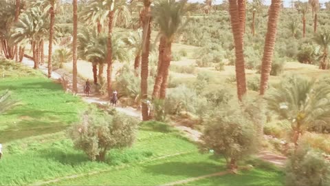 this is egypy