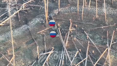 Russian Soldiers Take the Bait, Get Caught Up in Ukrainian Defenses