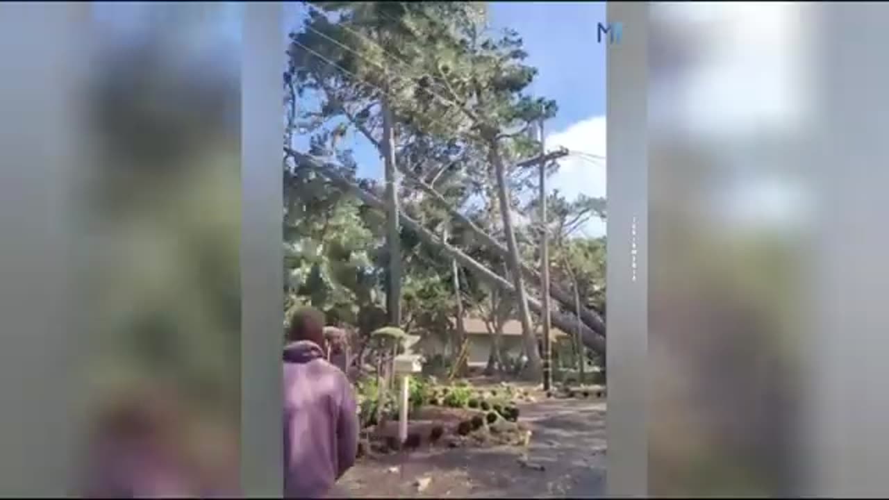 Funny athletic video