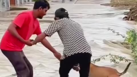 Dogesh dancer new trend youtube video viral short