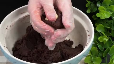 Better Than Snickers — These Chocolate Balls Are Taking Over the World!