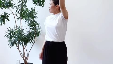 877.小燕飛練肩頸