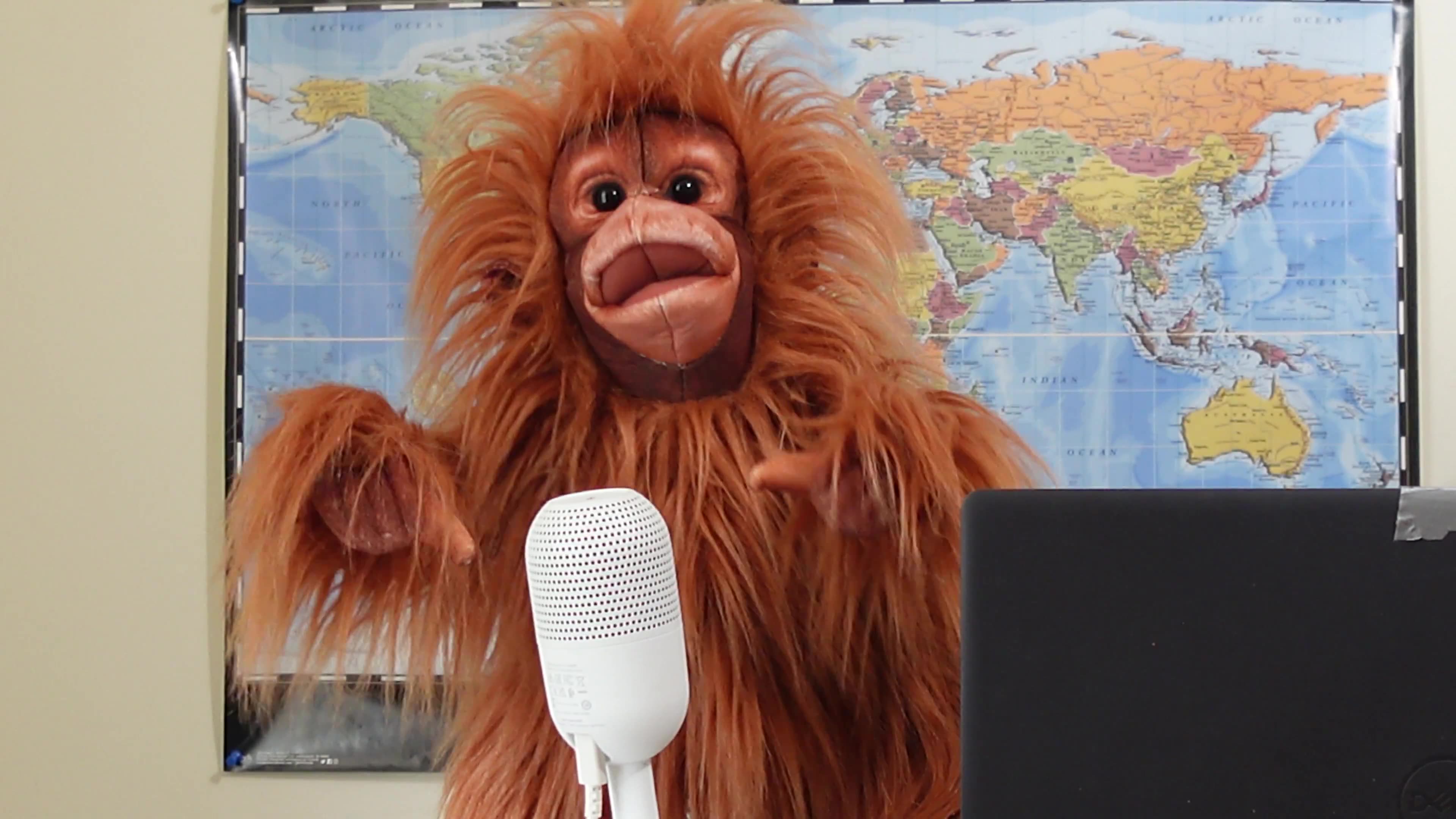 Dont expect very much from Carneys cabinet....