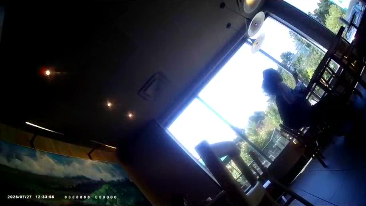 7/27/2025 (Targeted Individuals & Perp TV) My Weekend Online & Offline Meetings With my Associates