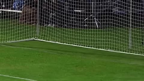 The Man, the Myth, the Legend: Scott Sterling