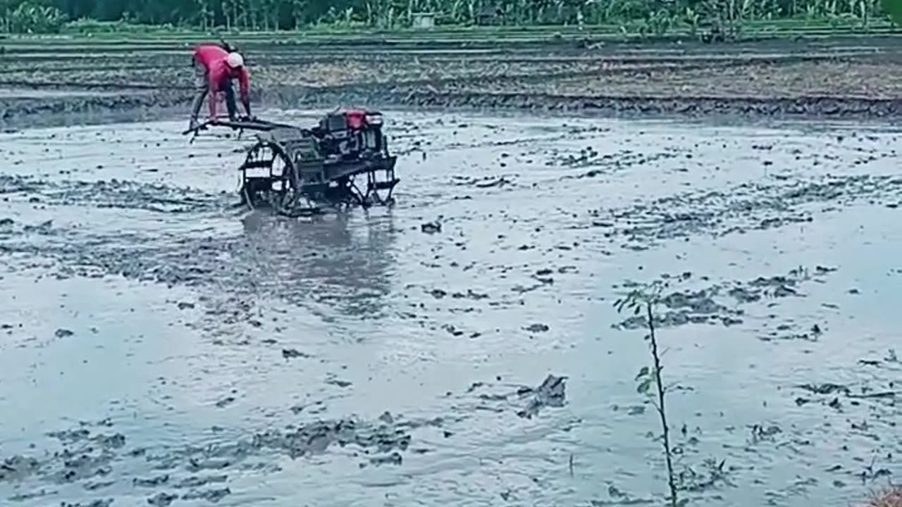Traktor sawah