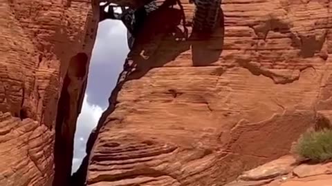 car spider