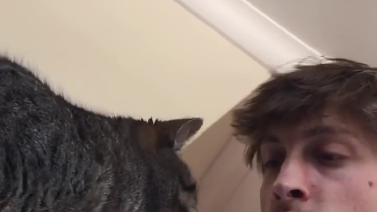 😂🐱 Haven't Seen My Cat in a Month and She Does This... | FunFM