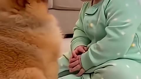 Puppy and baby cute moments