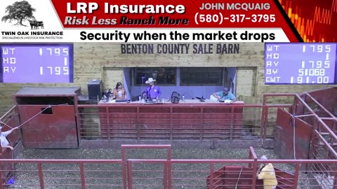 9/4/2025 - Cattle Auction - Benton County Sale Barn