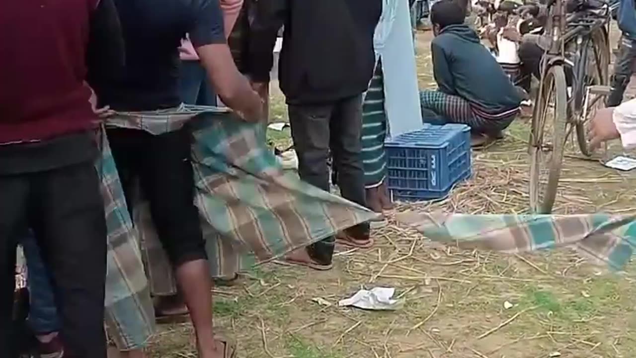 top funny video