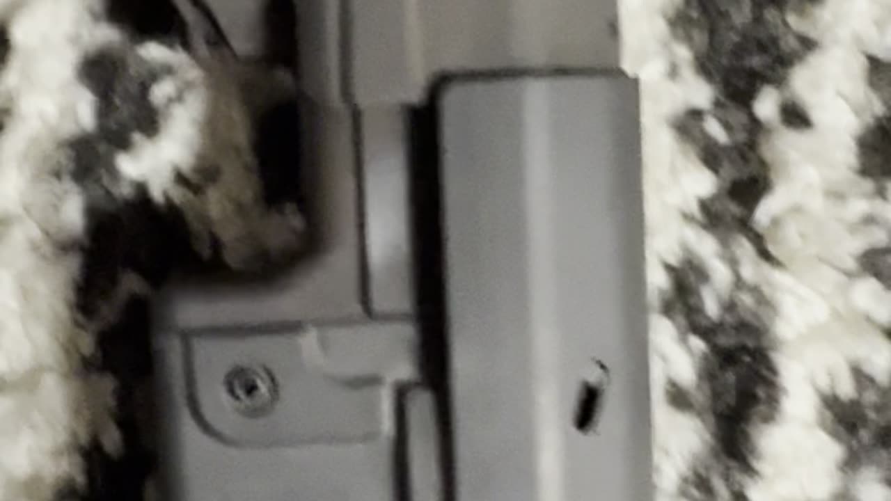 Hellion Rifle Stock - TEST
