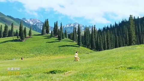 🌿 Visiting the Wild | A Journey into Nature's Heart 🐾