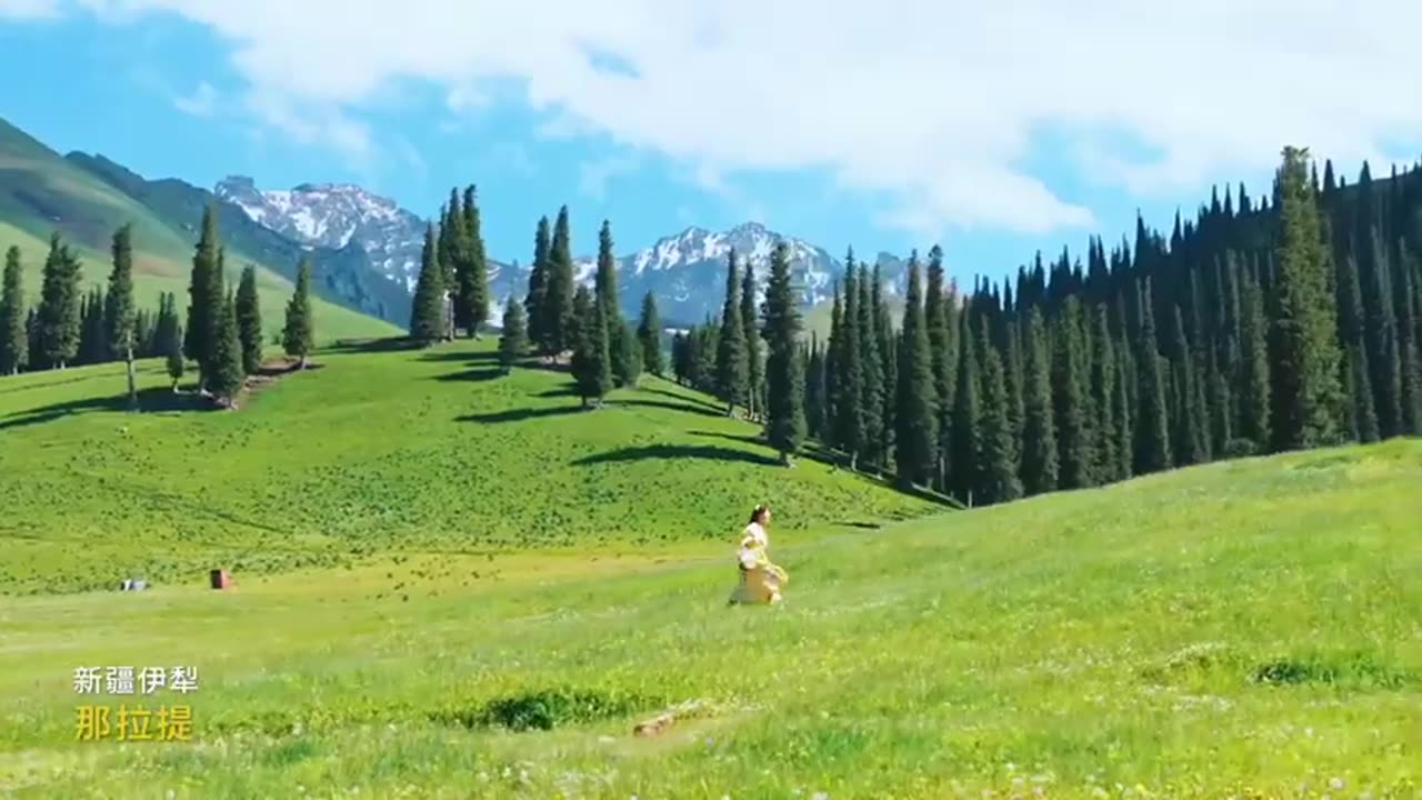 🌿 Visiting the Wild | A Journey into Nature's Heart 🐾