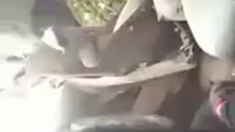 Accident FATAL CAR CRASH WHILE LIVE STREAMING-4JZ_MYkuq38.mp4