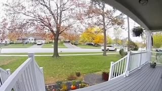 Wow, Squirrels, sneaky little things